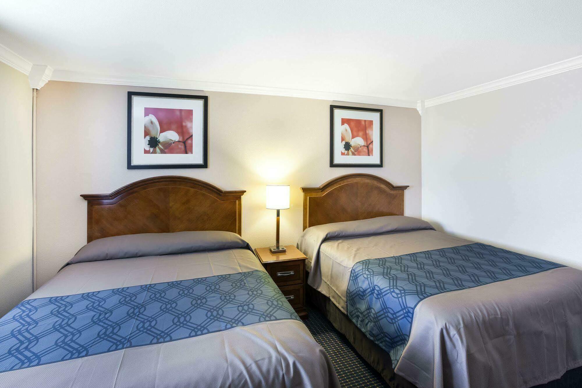 سان أنطونيو University Inn & Suites المظهر الخارجي الصورة